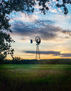 Using tree branches to frame in two sides of a photo of a windmill at sunset.