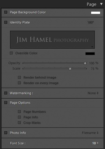 Page section of Lightroom Print module