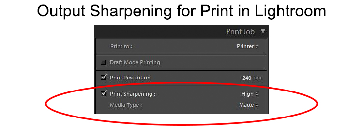 Output sharpening for print in Lightroom