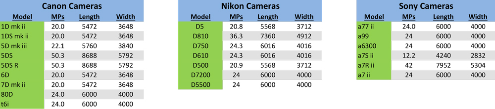 Chart listing all cameras being produced by Canon, Nikon, and Sony with the number of megapixels and the pixel lengths