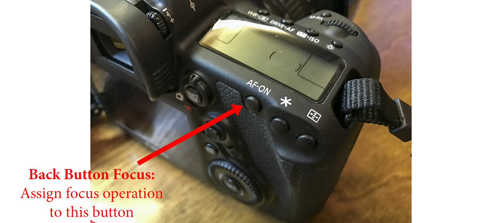 Photos of the button on the back of the camera used for back button focus